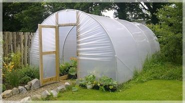 Greenhouse grow bags