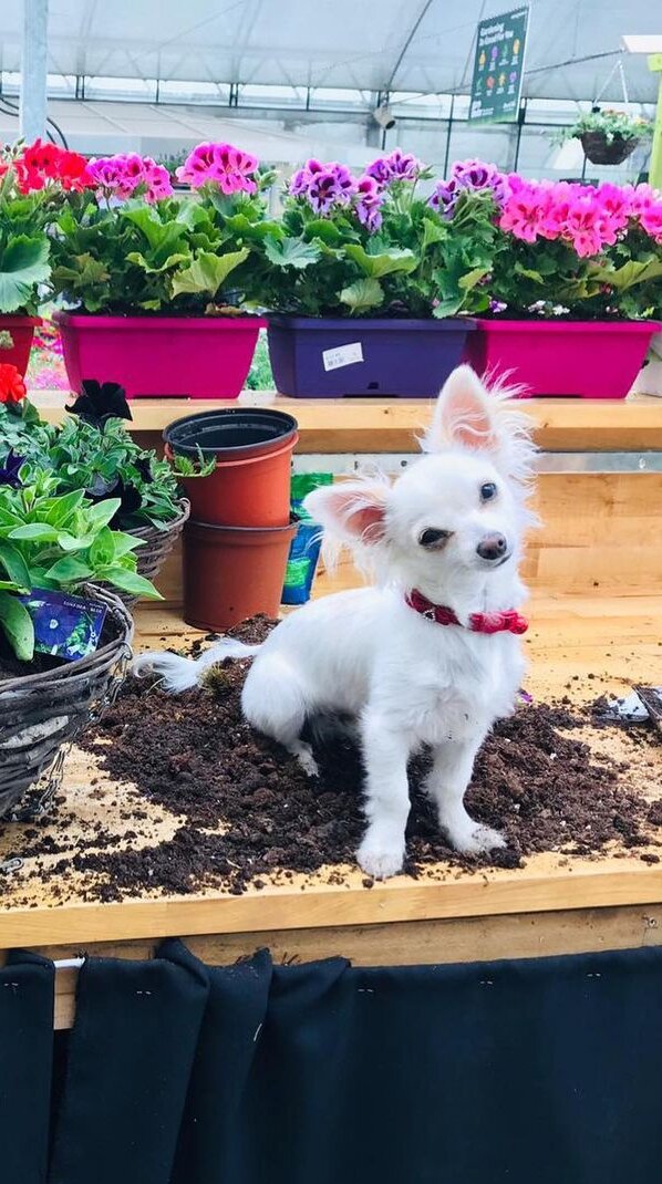 Meet our Plant Loving Team Meet our Plant Loving Team