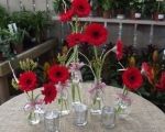 An elegant, festive table arrangement!