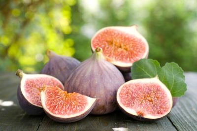 Caring for fruit in a Conservatory