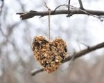 Children’s Autumn Gardening Class at Powerscourt Garden Pavilion