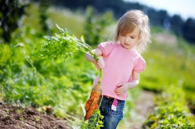 Children’s ‘Sow & Grow’ Gardening Class at Powerscourt Garden Pavilion