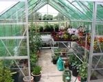 Considering A Greenhouse