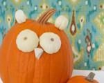 Decorating ideas for Halloween from your garden
