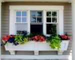 Designing your windowbox