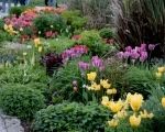 Get Planting now for Spring for a beautiful display!
