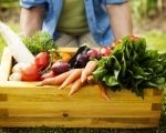 Harvesting vegetables: Advice for autumn harvesting