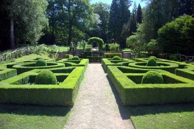 How to care for topiary plants