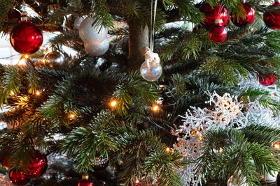 How to keep your Christmas tree fresh for longer
