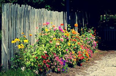 June Gardening – To do List