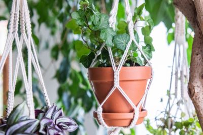 Make your own plant hangers