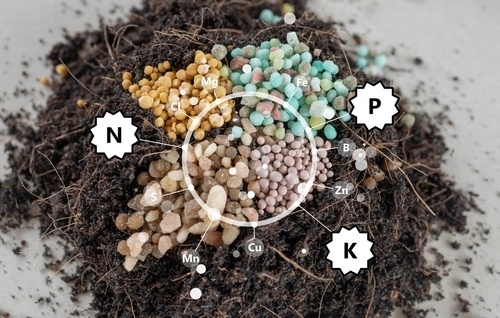 NPK fertiliser ratios explained