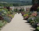 See 1,000 Plants in Bloom along Ireland’s longest Herbaceous Border