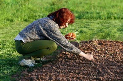 Sowing, growing and planting – gardening jobs for March