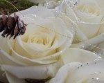 White and Silver Frosted Rose Arrangement by Carol Bone