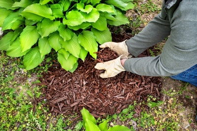Why mulching works and how to do it
