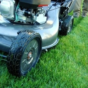 Which lawnmower?