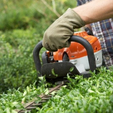 Keeping your hedge trimmer trim