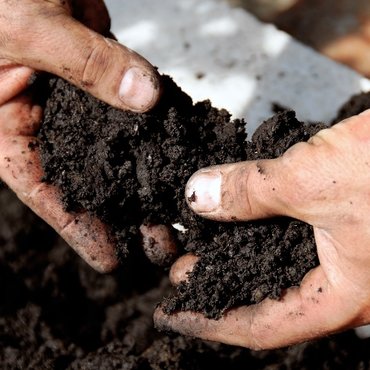 Soil and fertilisers