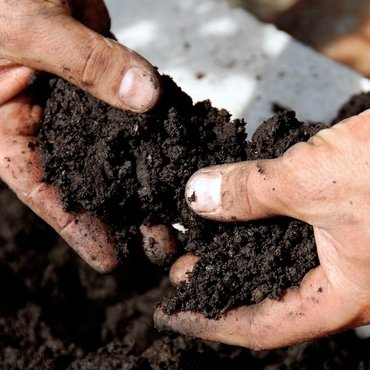 Soil and fertilisers