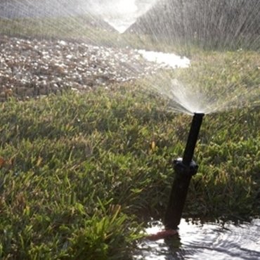 Automatic watering