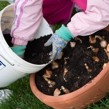 Compost choices